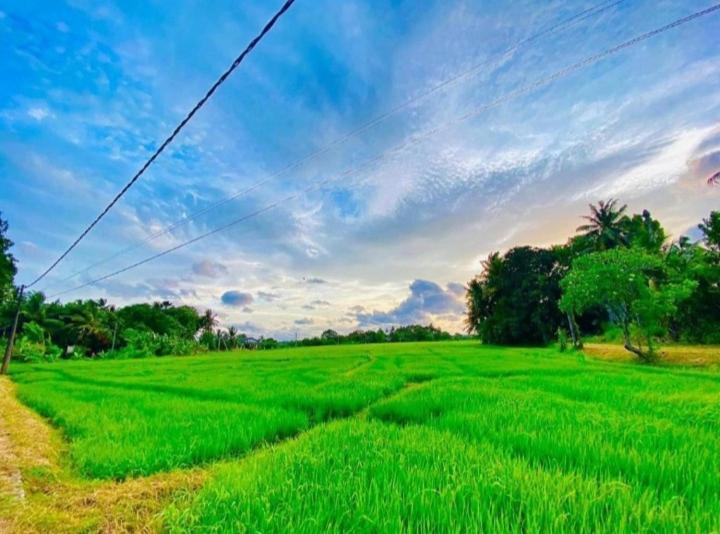 Arani Homestay 폴로나루와 외부 사진
